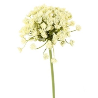 Künstliche Daucus Carota, weiß, ca. 54cm hoch