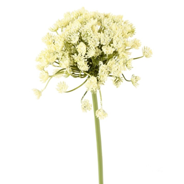 Künstliche Daucus Carota, weiß, ca. 54cm hoch