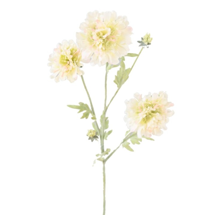 Künstliche Scabiosa, 75cm hoch, pflegeleicht und elegant