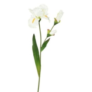Künstliche Iris, weiß, ca. 74cm hoch - Pflegeleicht!