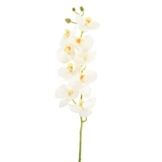 Künstliche Phalaenopsis, weiß, ca. 77cm hoch