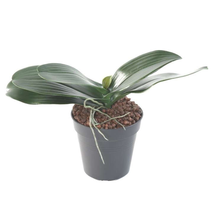 Künstlicher Phalaenopsis Blattzweig, ca 17cm, grün