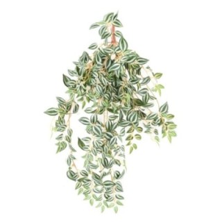 Künstliche Tradescantia, ca. 70cm