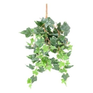 Künstliche Efeu Hängepflanze, ca. 60cm