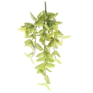 Künstliche Hängepflanze Strobilanthes (Roter Efeu), ca. 70cm