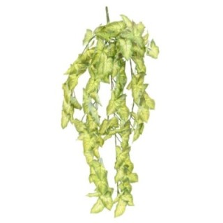 Künstliche Hängepflanze Syngonium, ca. 95cm