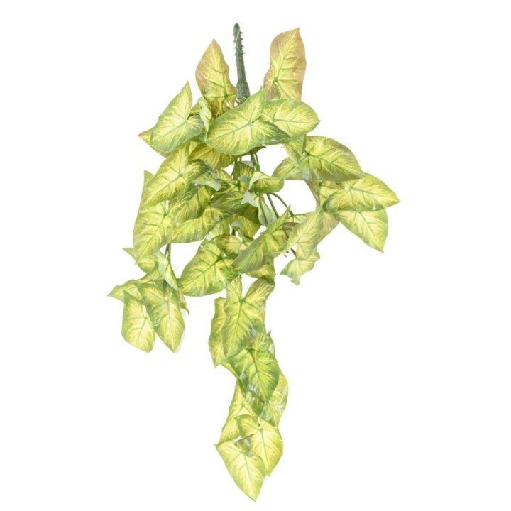 Künstliche Hängepflanze Syngonium, ca. 60cm