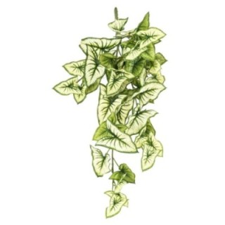 Künstlicher Syngonium Hängender Busch, ca. 60cm