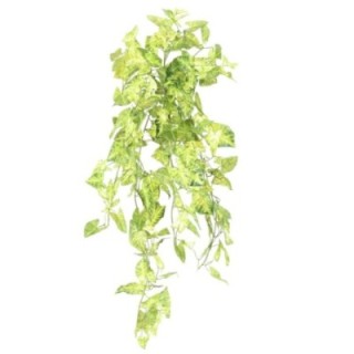 Künstlicher Syngonium Mini Hängender Busch, ca. 80cm