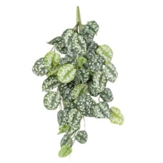Künstliche Scindapsus Hängepflanze, ca. 75cm