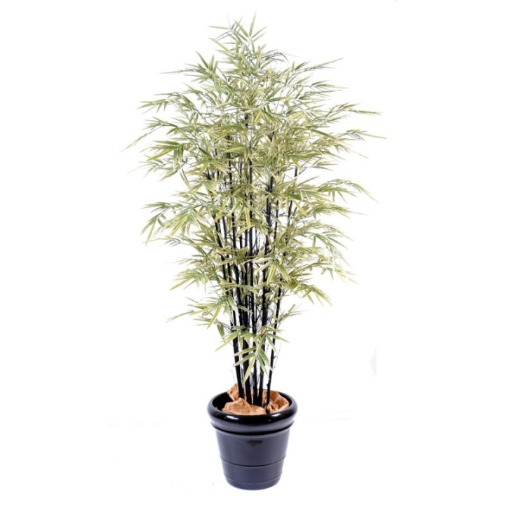 Künstlicher Schwarzer Shiroshima Bambus, ca. 160cm hoch, grün-weiß