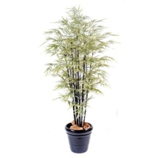 Künstlicher Schwarzer Shiroshima Bambus, ca. 125cm hoch, grün-weiß