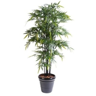 Künstlicher Schwarzer Bambus, ca. 210cm hoch, dunkelgrün