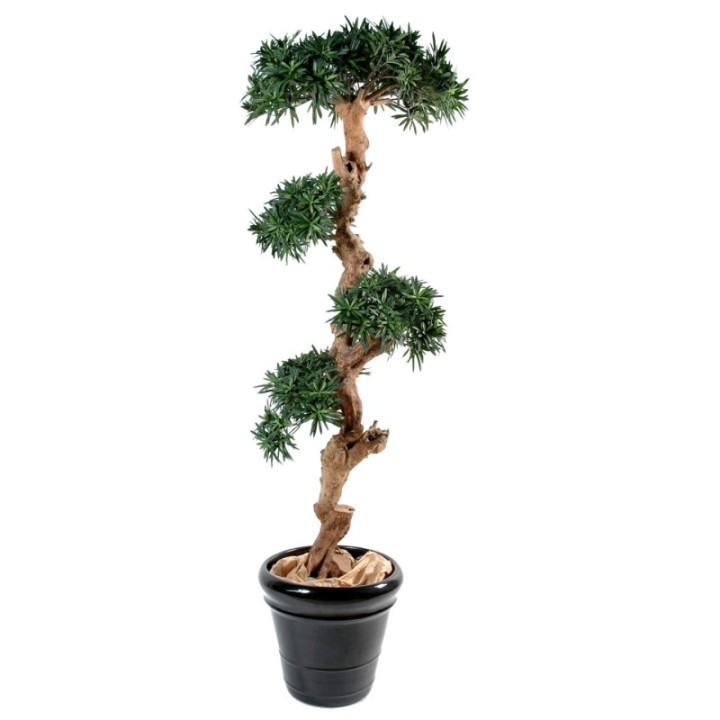 Künstlicher Podocarpus Wolkenbaum, ca. 110cm hoch, grün