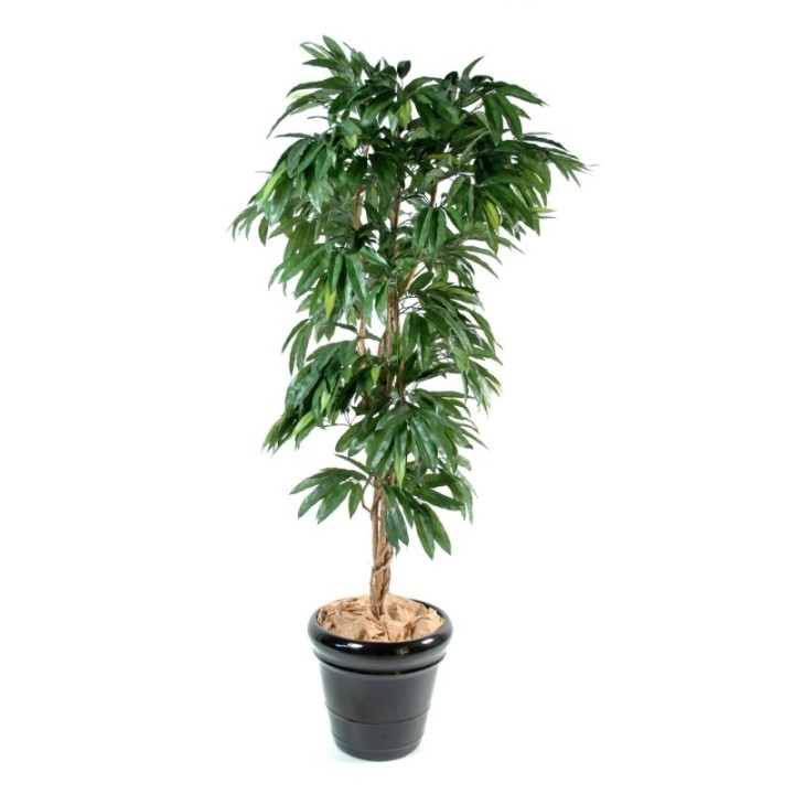 Künstlicher Mangobaum, ca. 180cm hoch, grün