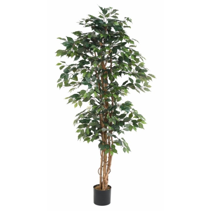 Künstlicher Ficus, ca. 190cm hoch, grün