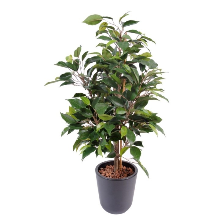 Künstlicher Ficus Natasja, ca. 60cm hoch, grün