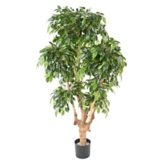 Künstlicher Ficus Natasja, ca. 170cm hoch, grün