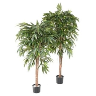 Künstlicher Ficus Longifolia, ca. 180cm hoch, grün