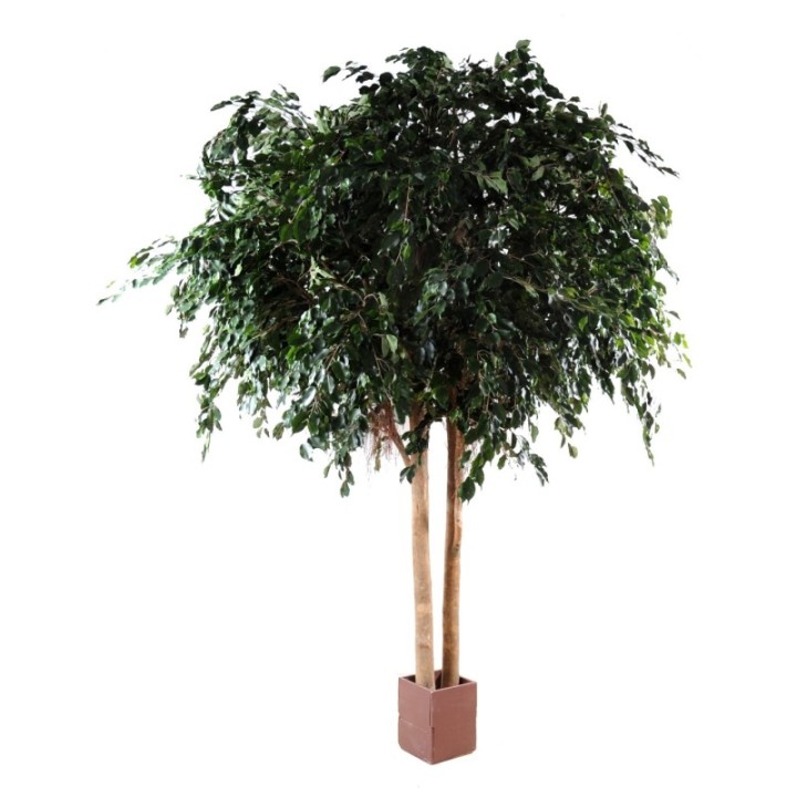 Künstlicher Ficus Exotica, ca. 350cm hoch, grün