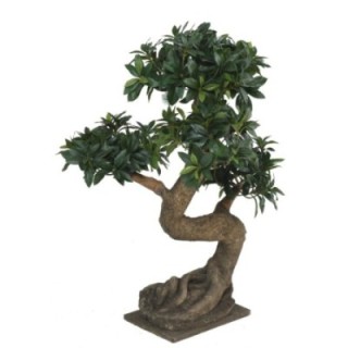 Künstlicher Ficus Bonsai, ca. 75cm hoch, grün