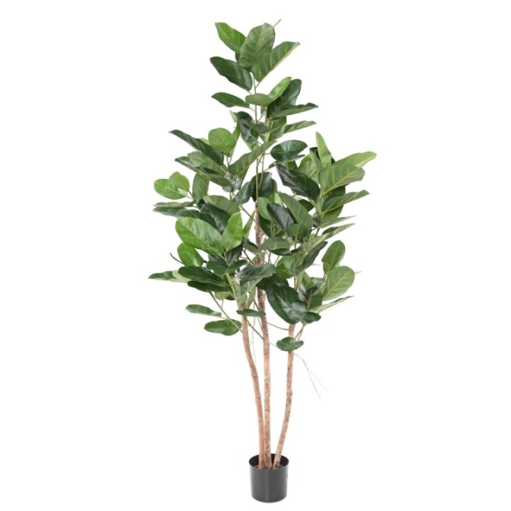Künstlicher Ficus Audrey, ca. 190cm hoch, grün