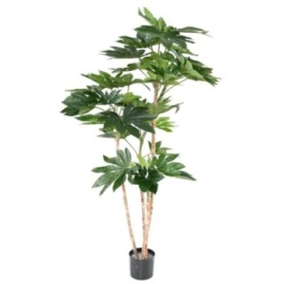 Künstlicher Fatsia Japonica Baum, ca. 150cm hoch, grün