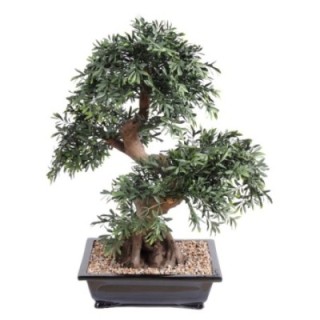 Künstlicher Bonsai Schwarz-Weide, ca. 70cm hoch, grün