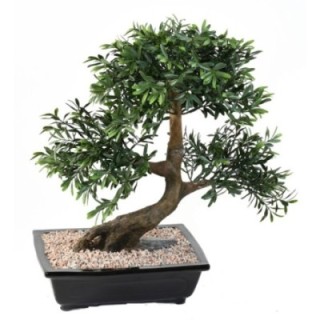 Künstlicher Bonsai Schwarz-Weide, ca. 50cm hoch, grün