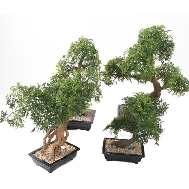 Künstlicher Bonsai Aralia, ca. 60cm hoch, grün