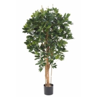 Künstliche Schefflera, ca. 150cm hoch, grün