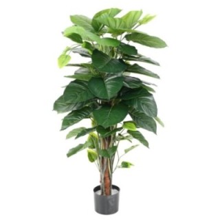 Künstliche Pothos Pflanze, premium, ca. 120cm