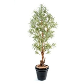 Künstliche Dracaena Reflexa, ca. 110cm hoch, grün-gelb