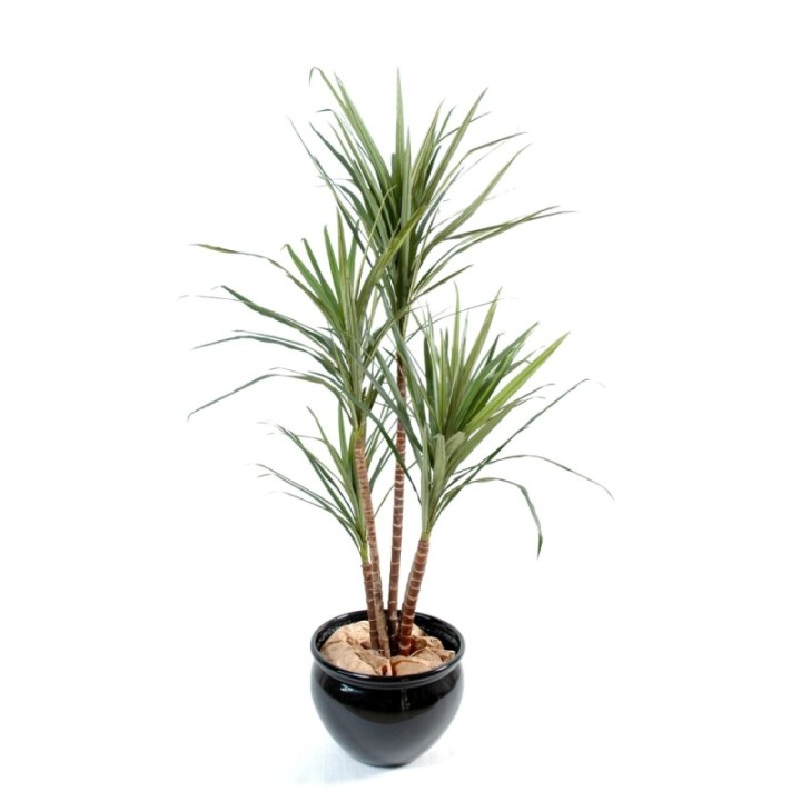Künstliche Dracaena Marginata, ca. 130cm hoch, grün mit roten Akzenten