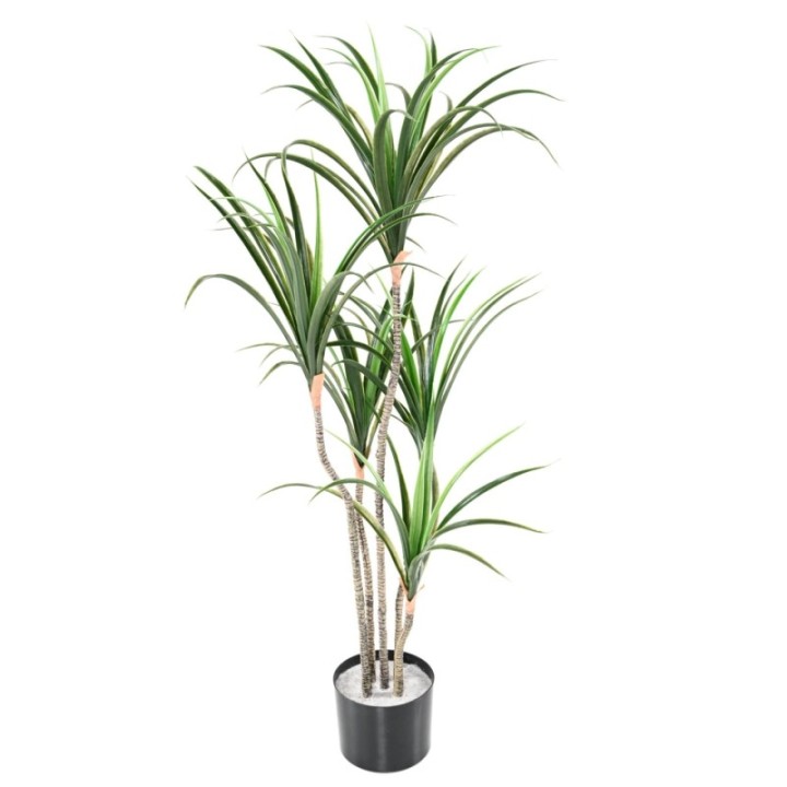 Künstliche Dracaena Marginata, ca. 125cm hoch, grün