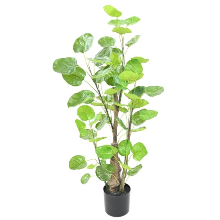Künstliche Aralia Fabian, ca. 90cm hoch, grün