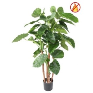 Künstliche Alocasia Calidora, ca. 170cm hoch, grün