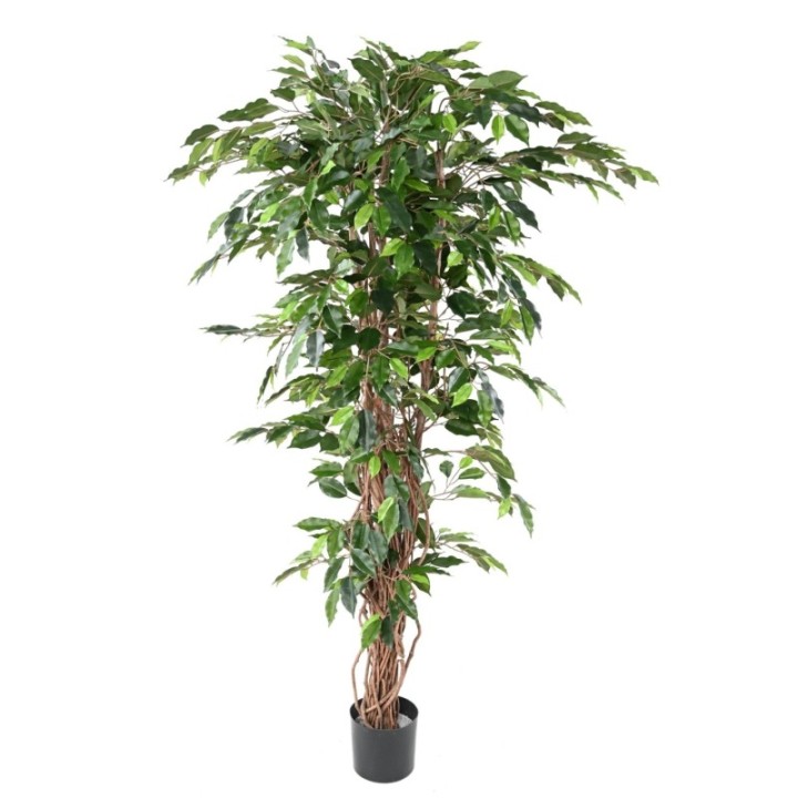 Künstlicher Ficus, ca. 210cm hoch, grün