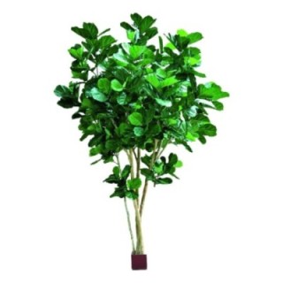 Künstlicher Ficus Lyrata Baum, ca. 420cm hoch, grün