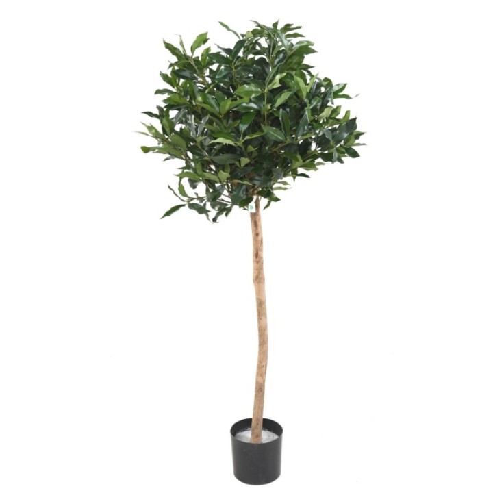 Künstlicher Lorbeerbaum, ca. 140cm hoch, grün