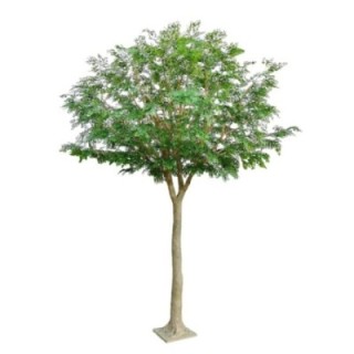 Künstlicher Bucida, ca. 450cm hoch, grün