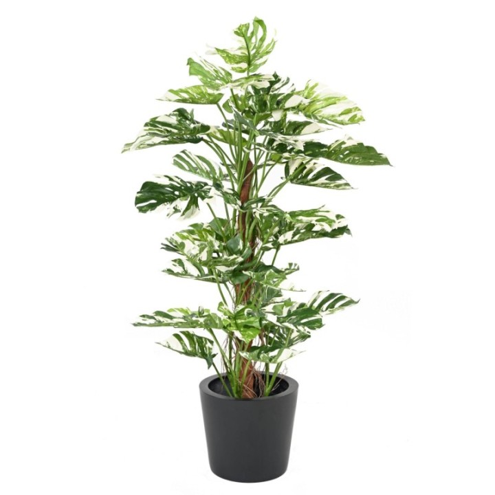 Künstlicher Philodendron Monstera, ca. 160cm hoch, grün