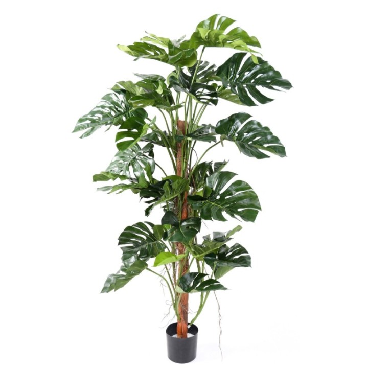 Künstlicher Philodendron Monstera, ca. 160cm hoch, grün