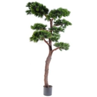 Künstliche Bonsai-Kiefer, ca. 220cm hoch, grün