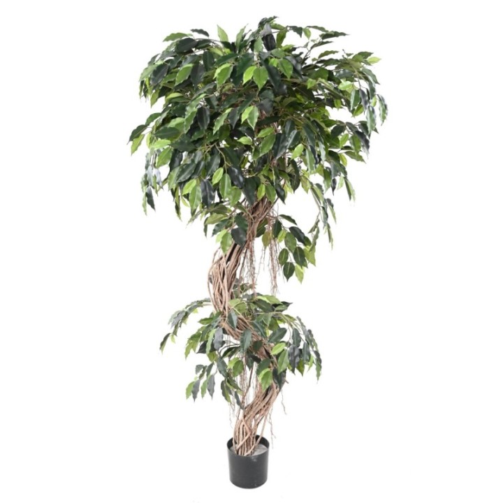 Künstlicher Ficus, ca. 180cm hoch, grün