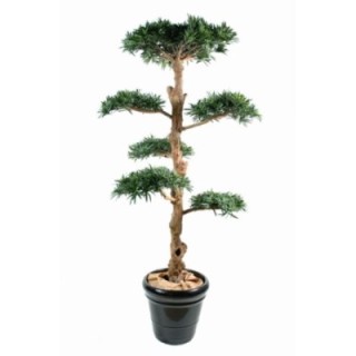 Künstlicher Podocarpus Baum, ca. 180cm hoch, grün