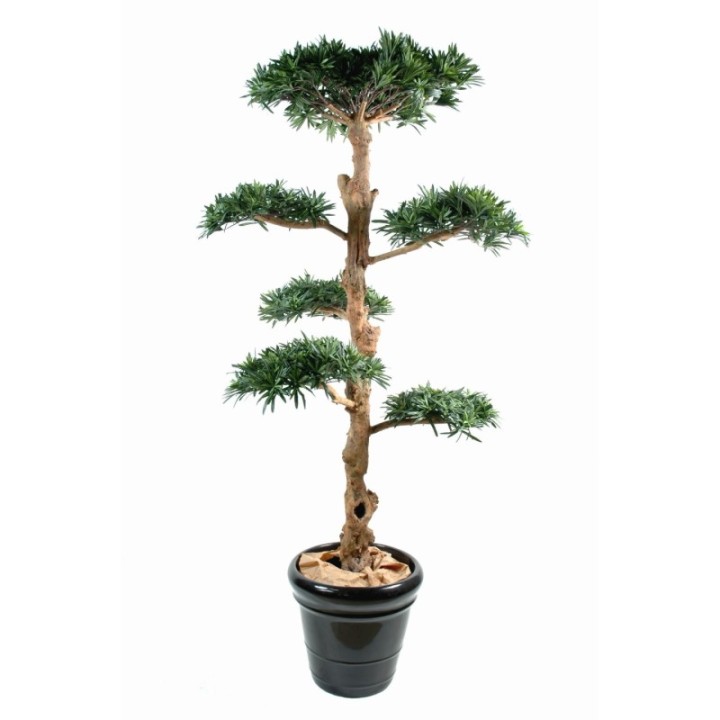 Künstlicher Podocarpus Baum, ca. 150cm hoch, grün