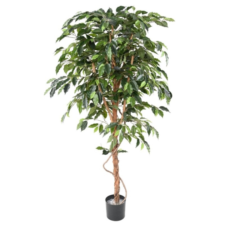 Künstlicher Ficus, ca. 180cm hoch, grün