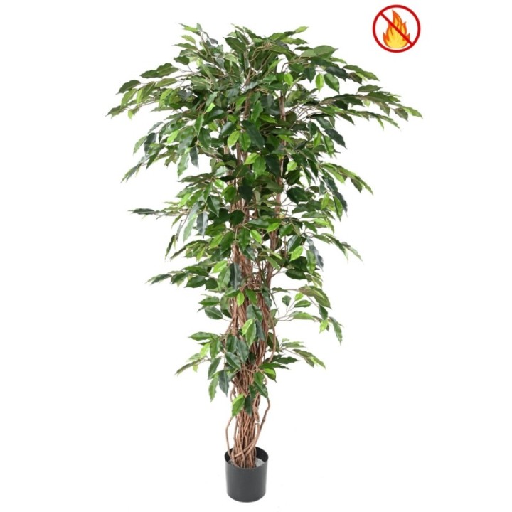 Künstlicher Ficus, ca. 180cm hoch, grün