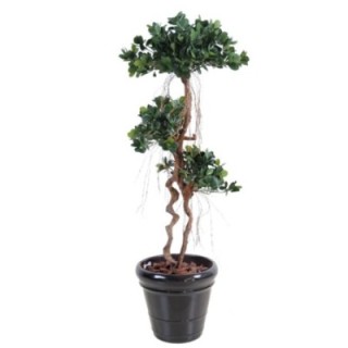 Künstlicher Ficus Panda, ca. 140cm hoch, grün